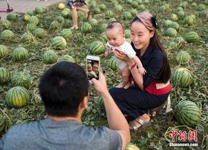 垦利吃瓜群众,揭秘当地生活百态