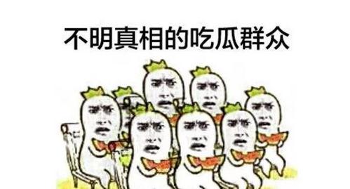 吃瓜群众离婚,离婚背后的情感纠葛与生活变迁