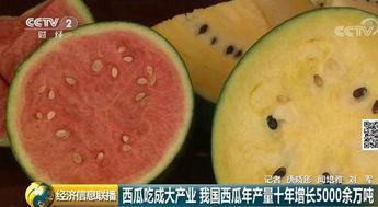 吃瓜群众吃大瓜,吃瓜群众大快朵颐，大瓜连连爆出惊人内幕