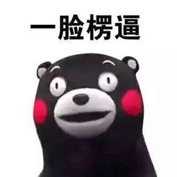 吃瓜熊本熊,吃瓜熊的味蕾探险记