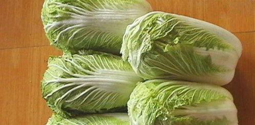 半生瓜尖可以吃吗,揭秘其食用安全与美味之谜