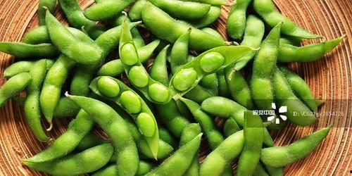 麻瓜吃豆,趣味横生的奇幻冒险之旅