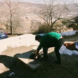 吃瓜不误砍柴功,砍柴工作更高效